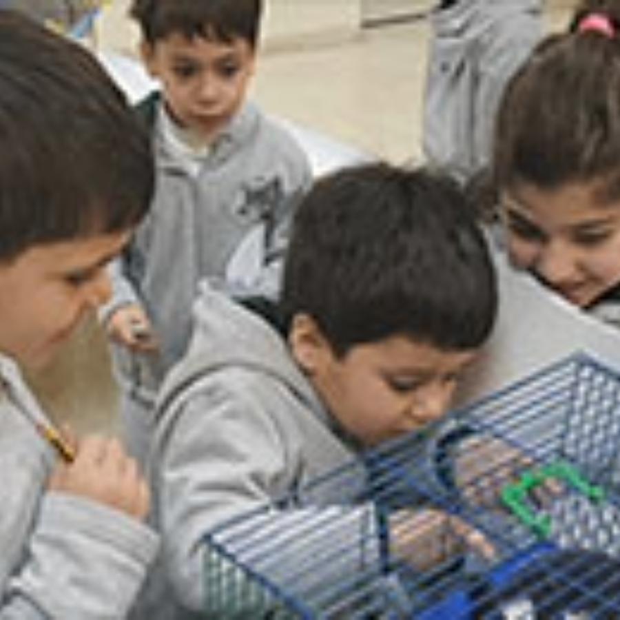 Sharing the Planet-Theme-5